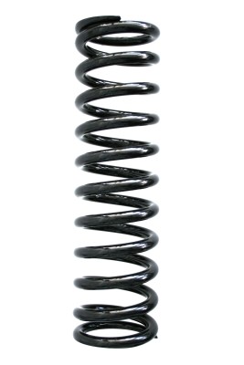 55563