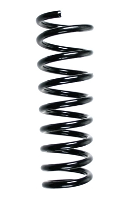 55579