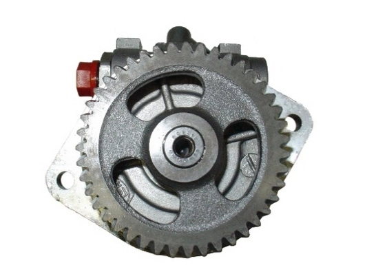 54244