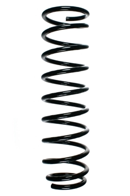 55381