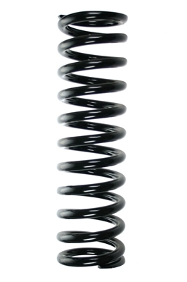 55601