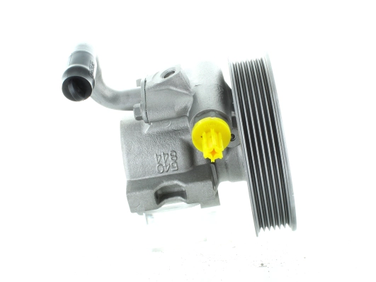 GKNY10037