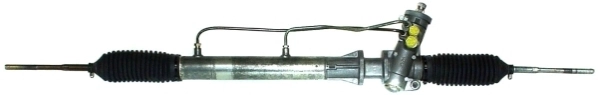 51981