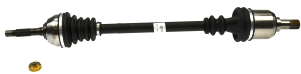 22006