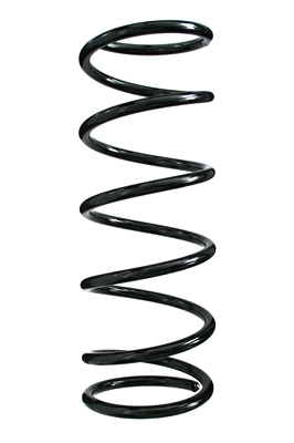 55904