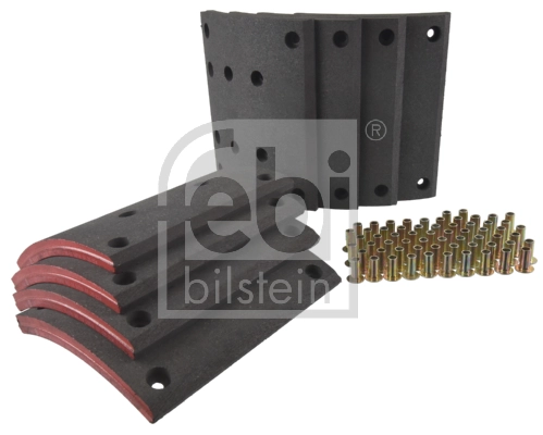 81502210155