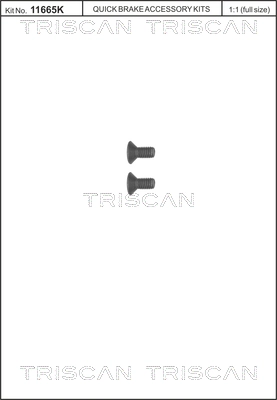 8105 116006