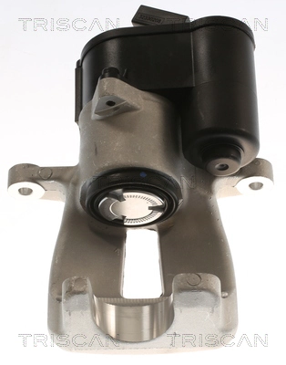 8175 29224