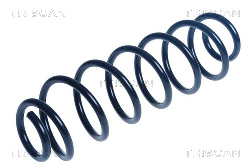 8750 24232