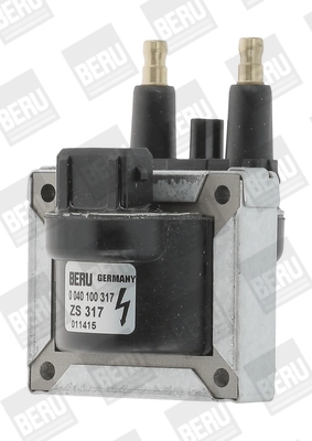 ZS317