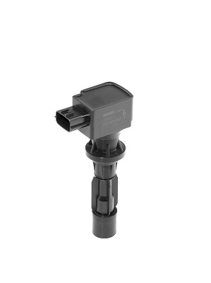 ZSE217