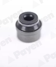 PA6133