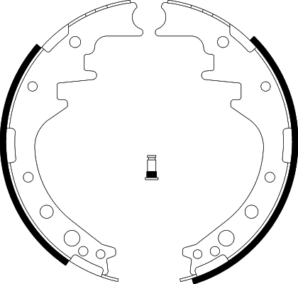 H1007