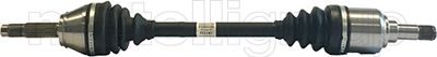17-0954