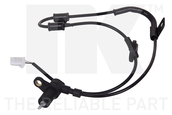 293425