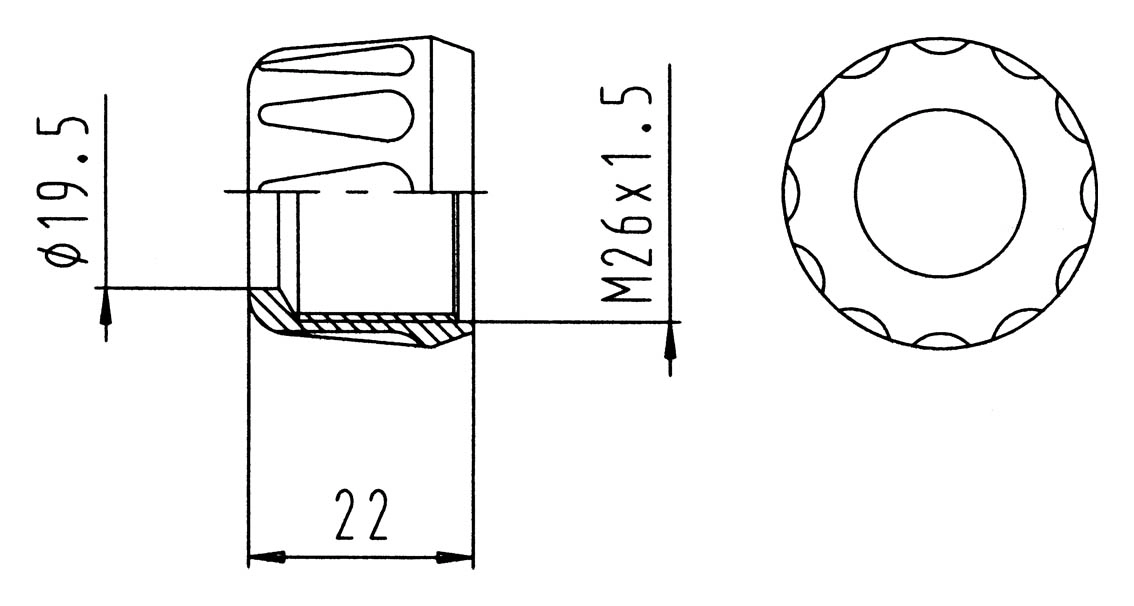 025308