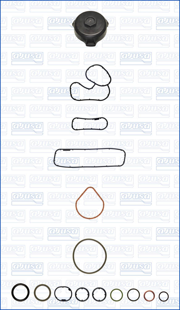 54302900
