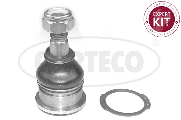49399567