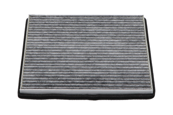 TC1006C