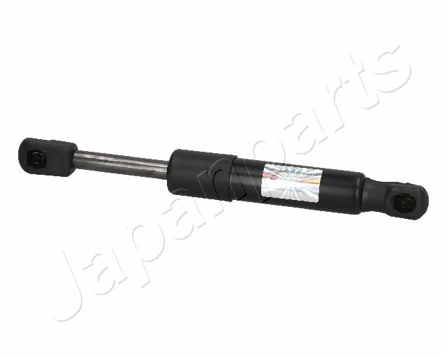 ZS06096