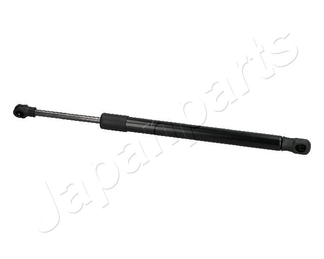 ZS09230