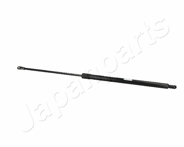 ZS06041