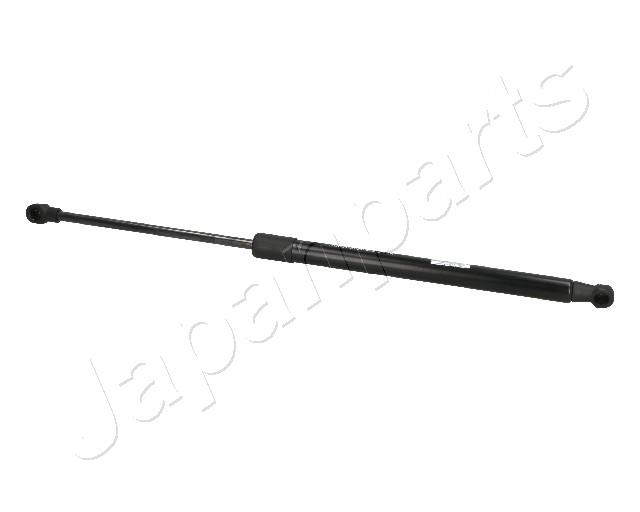 ZS06064