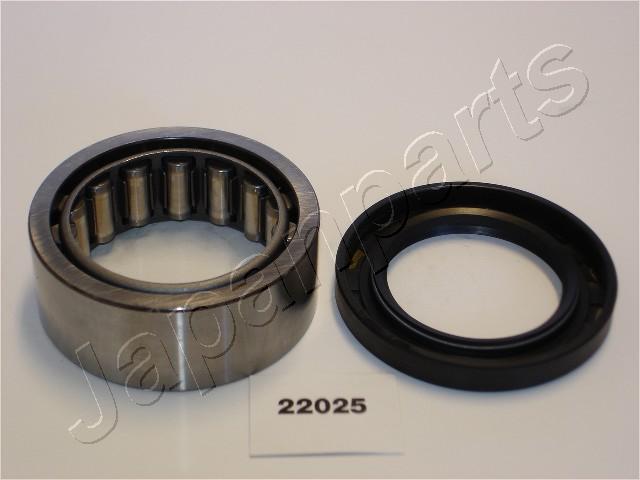 KK-22025