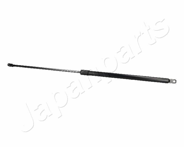 ZS06025