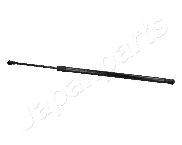 ZS10017