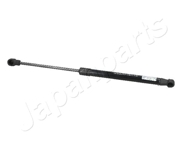 ZS09081