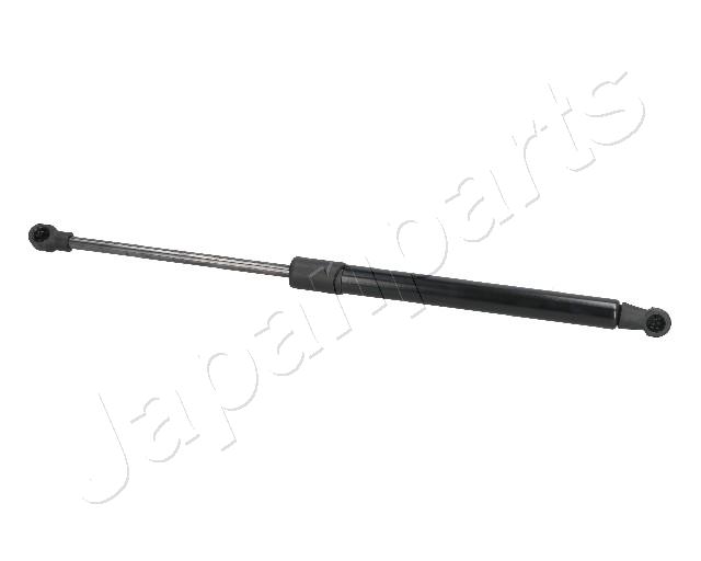 ZS09053