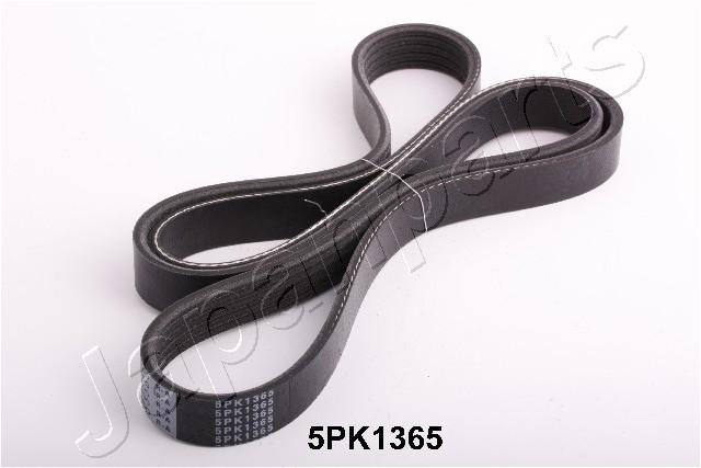 DV-5PK1365