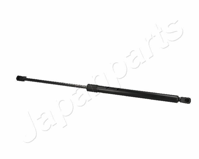 ZS06078