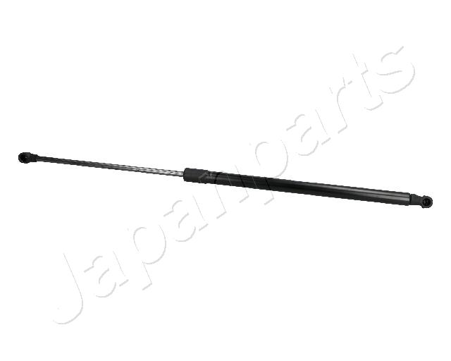 ZS06005