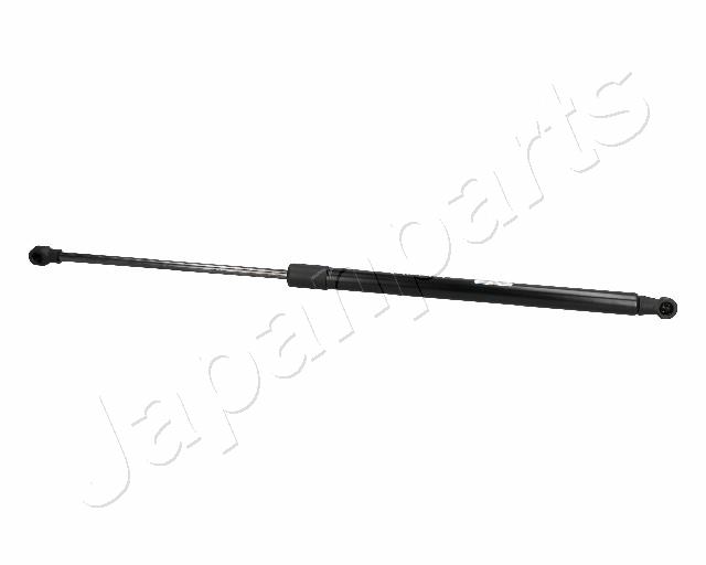 ZS06043