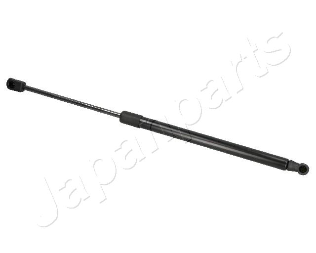 ZS07012