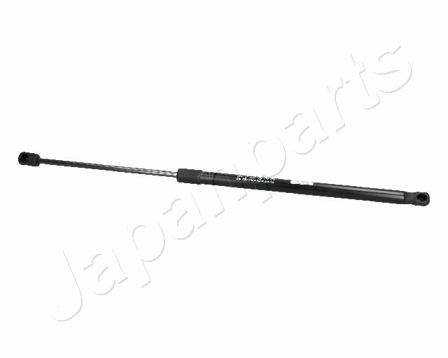 ZS06063