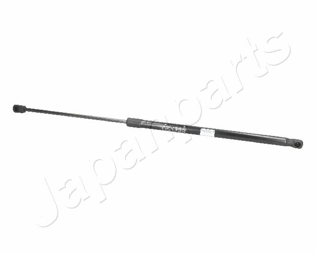 ZS01009