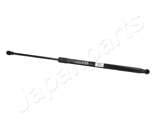 ZS09210