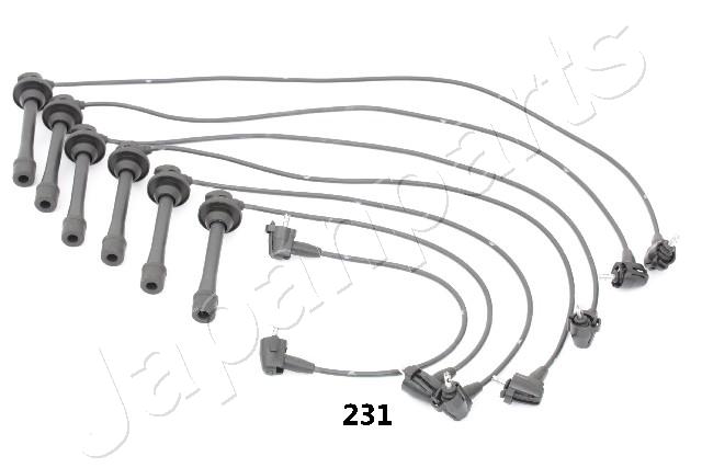 IC-231