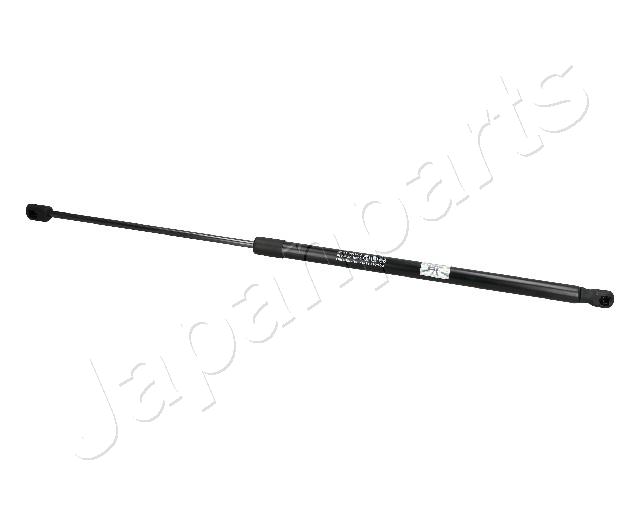 ZS05010