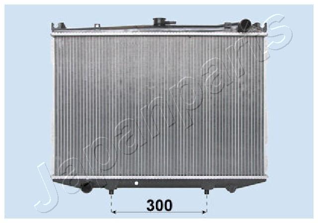 RDA213045
