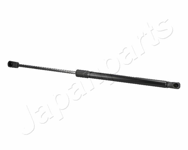 ZS06088