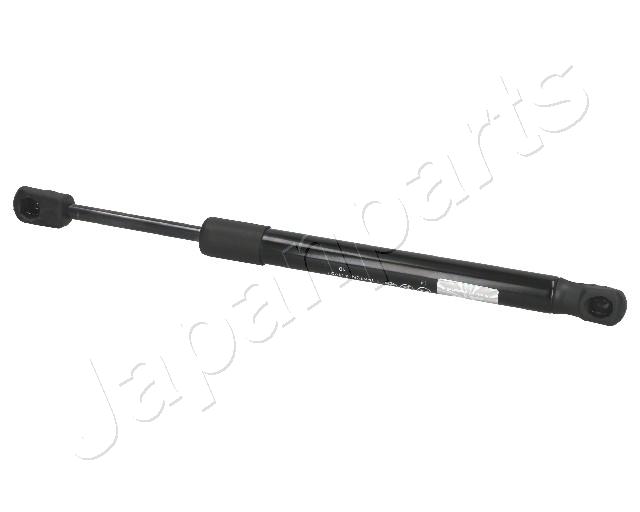ZS01002