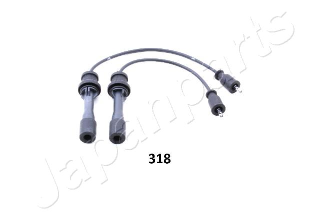 IC-318