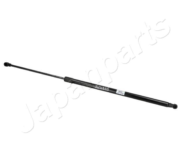 ZS07054