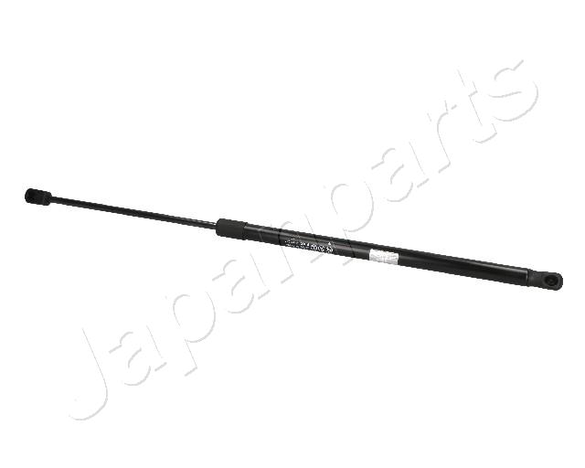 ZS09184