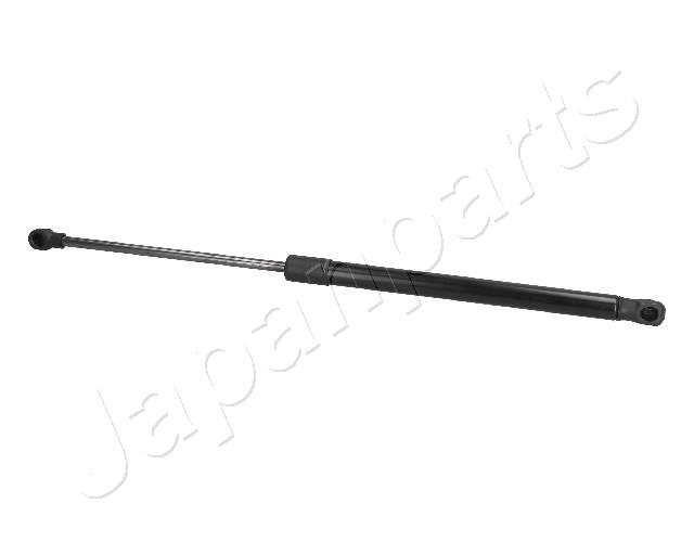 ZS09190