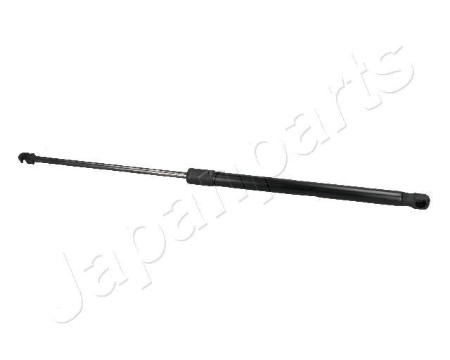ZS03117